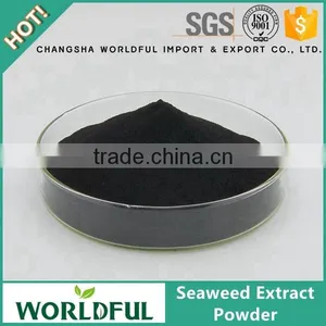 Professionally Supply High Quality Seaweed Extract Powder Organic Fertilizer for Agriculture thumbnail-1