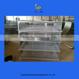 Automatic Quail Layer Cage thumbnail-4