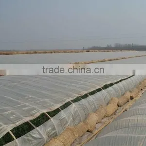 Anti Fog Anti Drip UV Protection PE Greemhouse Film for Vegetable Greenhouse thumbnail-1