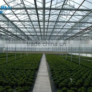 BLD Large Multi-span Venlo Plastic Film Greenhouse and Gutter Connected Greenhouse thumbnail-1