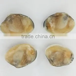 Clam Variety Frozen Half-Shell Baby Clam thumbnail-2
