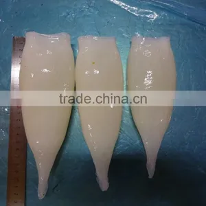 Shishi Zhengyuan Aquatic Frozen Illex Squid Tube thumbnail-2
