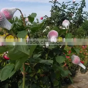 Thailand Hot Product Rose Flower Packaging Wrap Netting thumbnail-6