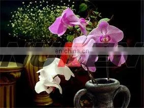 AAA QualityOem Accept No Minimum New Hot Lenticular Plastic Sheet Wholesale With Low Price thumbnail-4