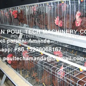 Tanzania Poultry Farm Hot Galvanized Cage & A Type Battery Cage Layer Breeding Chicken Cage & Coop for Poultry Farm thumbnail-2