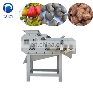Taizy Hot Sale Cashew Shelling Machine/cashew Cracking Machine/cashew Nut Sheller thumbnail-6