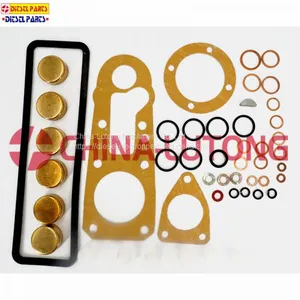 Diesel Pump Repair Kits-cummins Rebuild Kit 1 417 010 003 for ISUZU Ve Pump thumbnail-3