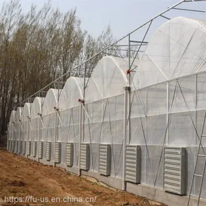 Multi Span PE Film Agricultural Greenhouse thumbnail-5