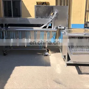 Slaughterhouse Hooks Chicken Defeather Machine Chicken Feather Cleaning Machine thumbnail-6