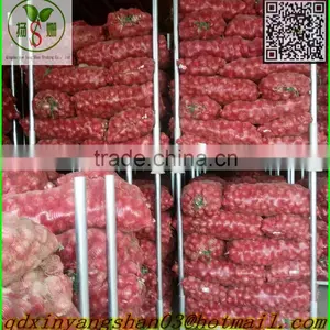 Red Dried Fresh Onion /Fresh Onion/red Onion thumbnail-2