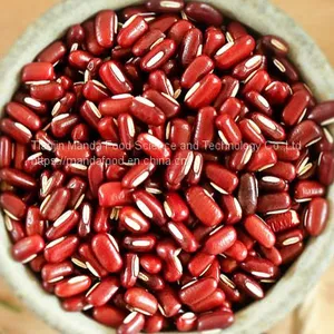 Phaseolus Calcaratus/Red Phaseolus Beans thumbnail-1
