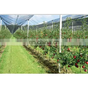 Agricultural HDPE Anti Hail Net Screenhouse for Plants Protection Fruit Apple Tree thumbnail-1