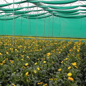 HDPE Monofilament Green Shade Net 50% 75% Shading Plants Windbreaker Shade Cloth thumbnail-3