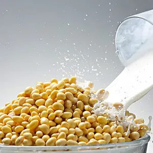 Factory Complete Flavored Soy Milk & Tofu Processing Plant Soymilk Making Machine Equipment Soya Milk Production Line thumbnail-6
