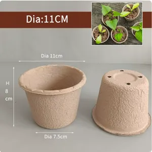 Paper Pulp Seedling Tray, 1 Year Warranty, Technical Support, Standard Compliant, 100% Recyclable thumbnail-4