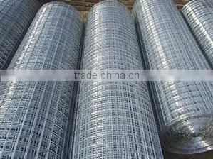 Factory Direct Supply 5*5 Welded Rabbit Cage Wire Mesh thumbnail-3