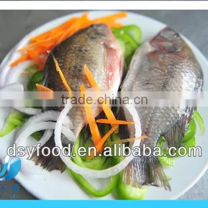 WR Frozen Black Tilapia thumbnail-5
