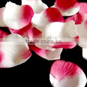Silk Petals thumbnail-1