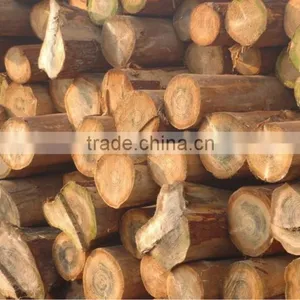 1t 2t 4t 6t Wood for Firewood Industrial Steam Boiler thumbnail-3