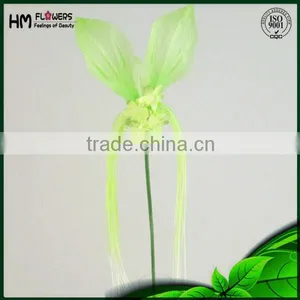 Ornamental Plants Lucy Cat thumbnail-5