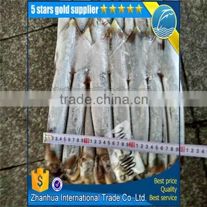 Frozen Illex Squid Price, Seafrozen Jigger Catch Illex Squid thumbnail-5