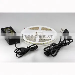 SDSLED IP65 60LED/m Red SMD 5050 Led Strip Light DC12V Led Light Strip thumbnail-4
