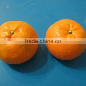 Mandarin Orange, Citrus Fruit thumbnail-1
