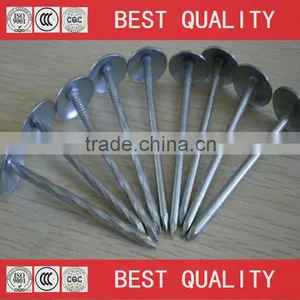 BWG8 Iron Roofing Nail With Umbrella Head thumbnail-1