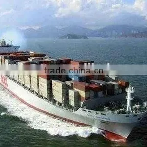 Reliable Sea Freight Shenzhen to India thumbnail-1