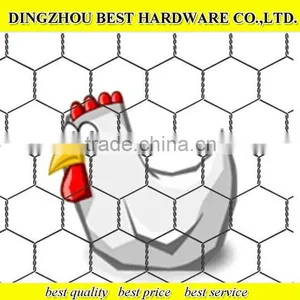 Galvanized Chicken Wire Netting thumbnail-3