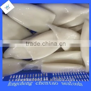 Clear Squid Tube U5 thumbnail-2
