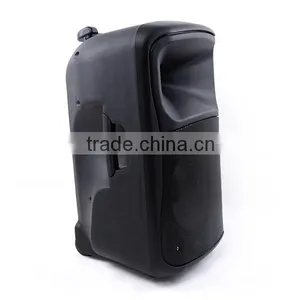 8 Inch Professional PA Audio System bt Speaker thumbnail-4