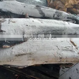 Frozen Fresh Marlin Fish/swordfish Suppliers thumbnail-1