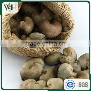 Hot Sale Vietnam Dry Cashew thumbnail-1