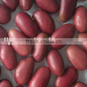 Small Red Bean thumbnail-1
