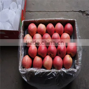 Fresh Apple thumbnail-1