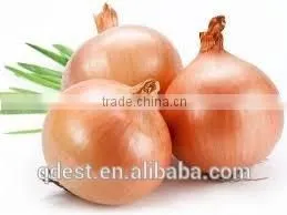 Bulk New Crop Chinese Fresh Product Yellow Onion thumbnail-1