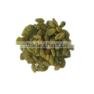 China Suppliers Best Price Green Raisin thumbnail-4