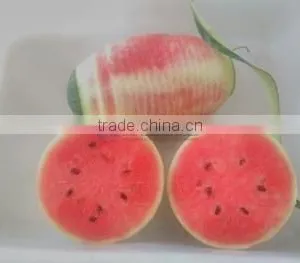 Automatic Pawpaw Pumpkin Taro and Honey Dew Melon Pineapple Peeler Peeling Skin Removing Machine thumbnail-4