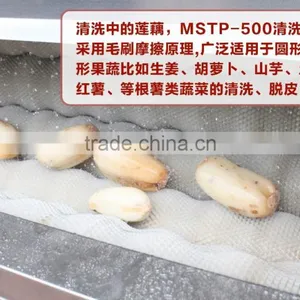New Condition High Efficency Lotus Root Washer and Peeler (CE Approved) MSTP-500 thumbnail-2