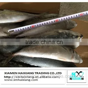 New Arrival Frozen Sardines for Bait thumbnail-3