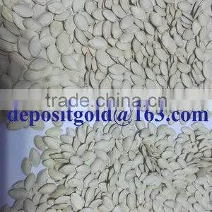 Shine Skin Pumpkin Seeds in Shell thumbnail-5
