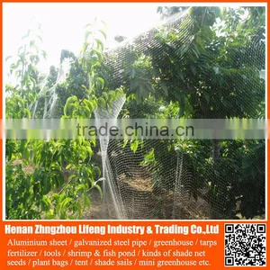 Anti Bird Netting / pe Mist Bird Net / Plastic Anti Bird Netting thumbnail-3
