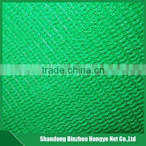 Hdpe Mono Hongye Construction Scaffold Plastic Safety Net thumbnail-2