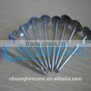 Umbrella Head Roofing Nails Factory Super Price thumbnail-3