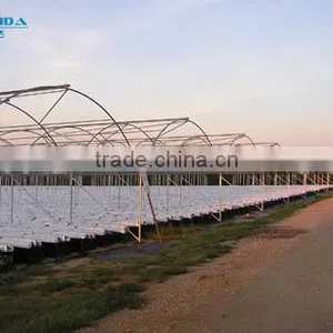High Performance Pe Film Greenhouse For Strawberry thumbnail-6