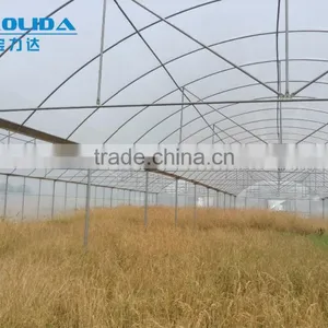 Polythene Film Solar Greenhouse For Vegetables thumbnail-3