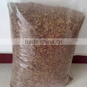 Fish Food Mealworms Golden Yellow, Pigeon Feed thumbnail-3