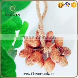 Rural Series of Dried Fruit Hangs Have Seven Options thumbnail-4