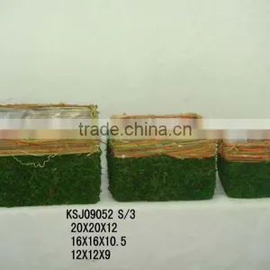 Moss Garden Planter SN248 thumbnail-1